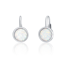 Náušnice SVLE0697XH2O100 obrázek