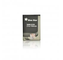 Baterie Blue Star pro Samsung E250/X200/X680/C300/E900 1000mAh Li-Ion Premium obrázek